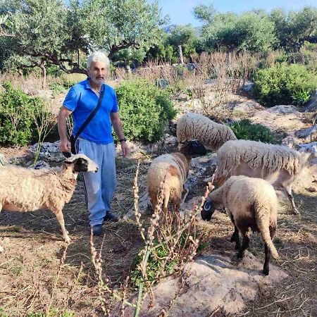Τρισήλιο Διαμέρισμα Καρδαμύλη Εξωτερικό φωτογραφία